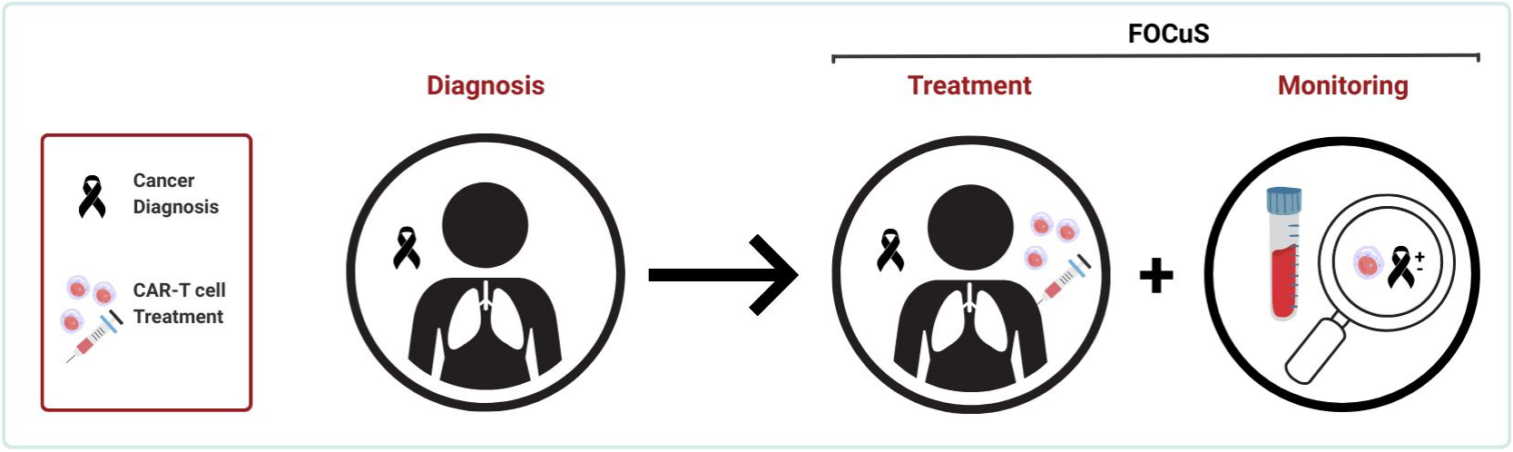 FOCuS Projektübersicht